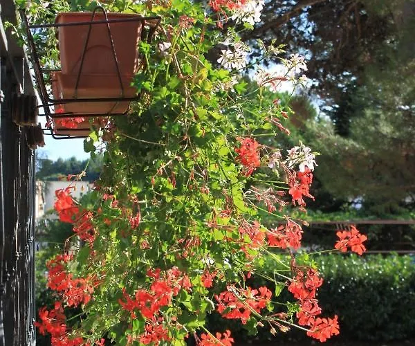 With Parking Space - 7042 アパート